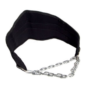 Dip Belt web